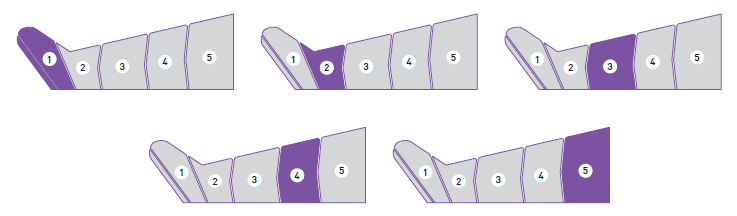 1.png 1.png